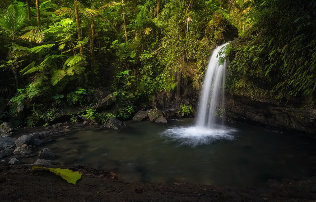 Photo wallpaper waterfall, Puerto Rico, The Anvil