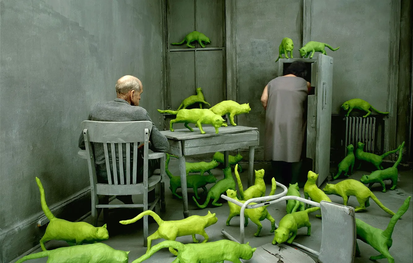 Photo wallpaper pair, obsessions, green cats, Sandy Skoglund, the grey room