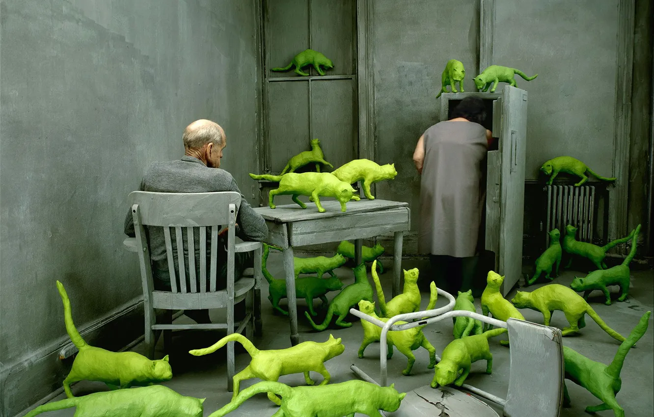 Photo wallpaper pair, green cats, Sandy Skoglund, the grey room, obsessions