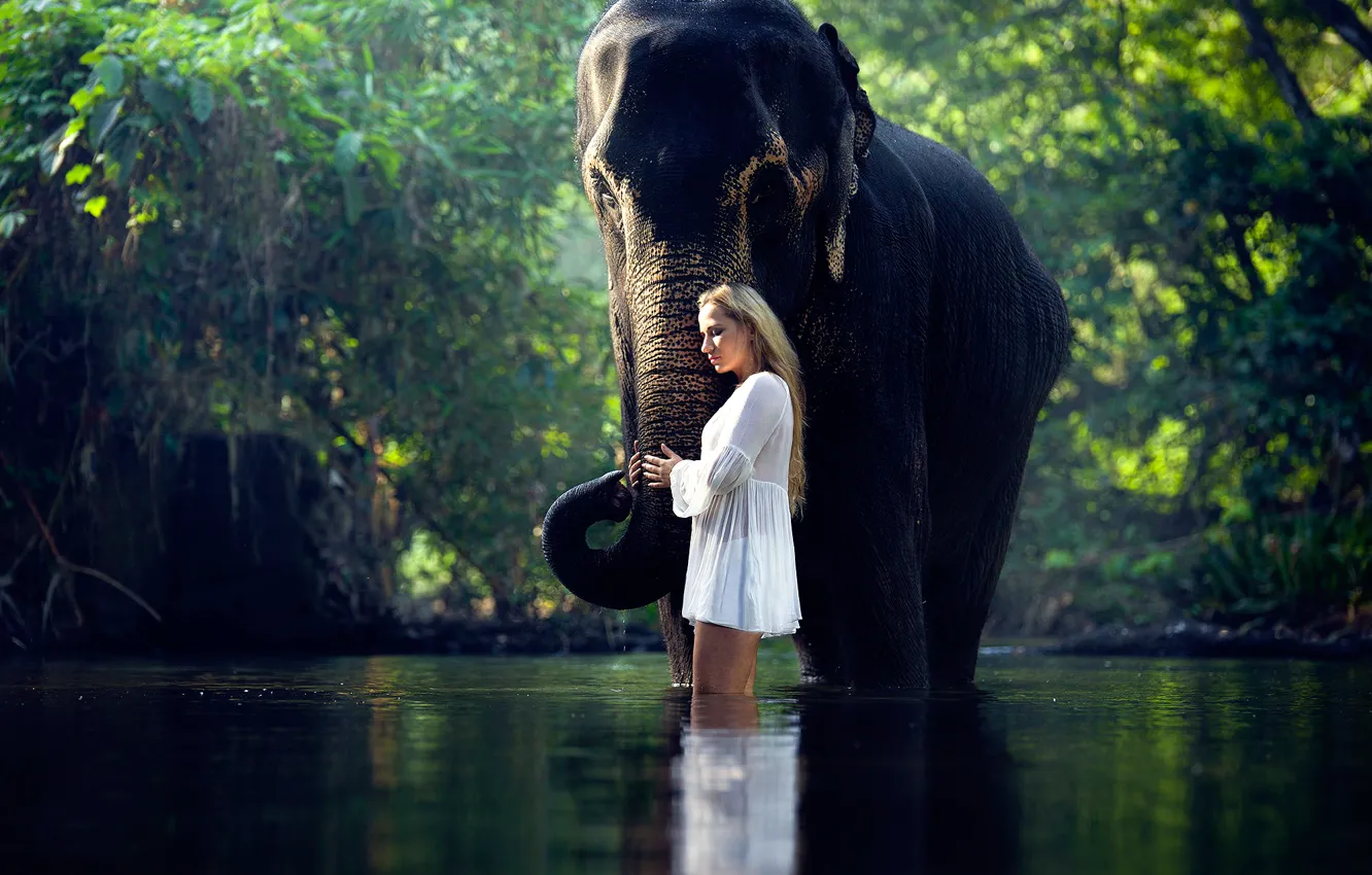 Photo wallpaper girl, elephant, in the water, Serene