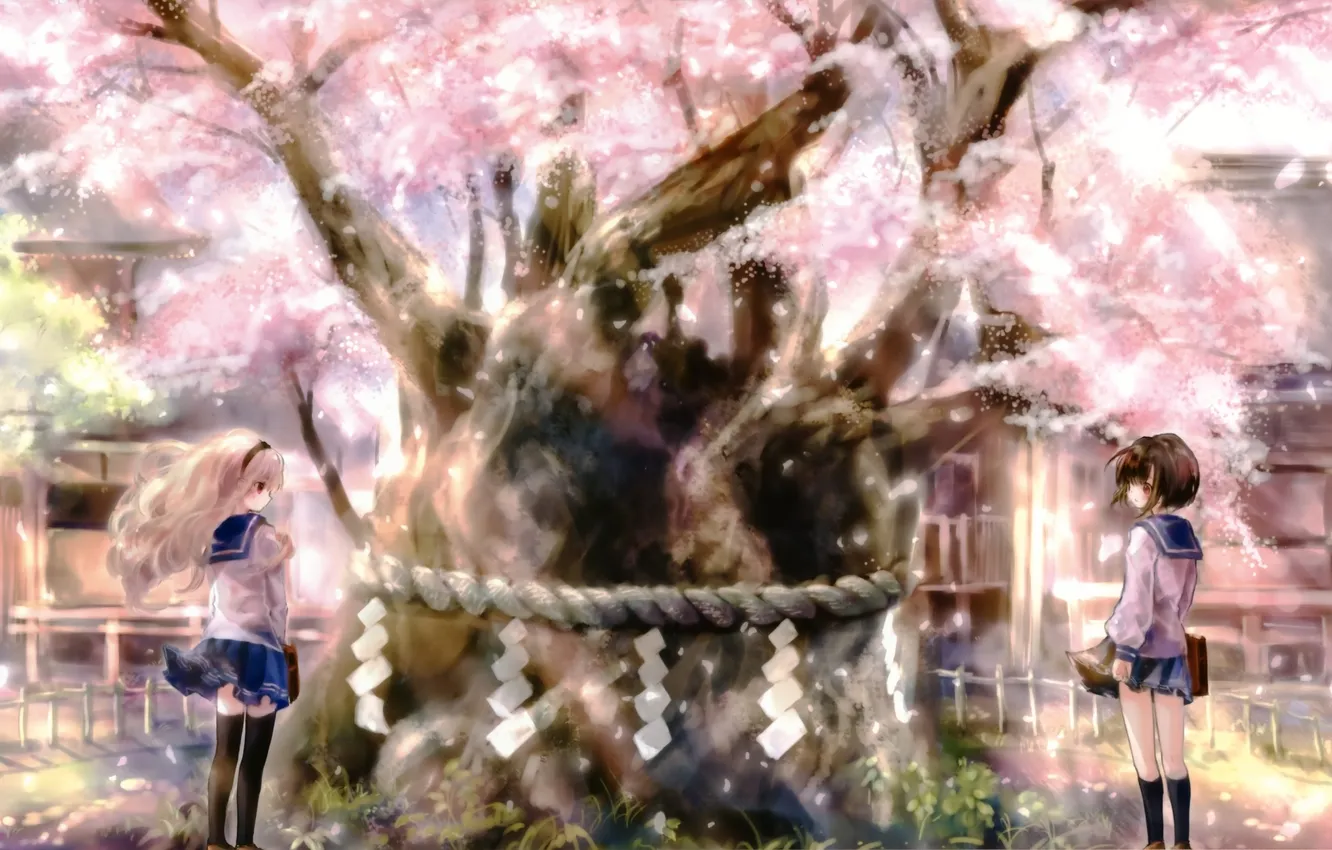 Photo wallpaper girls, tree, home, anime, Sakura, art, Schoolgirls, onine of the latter