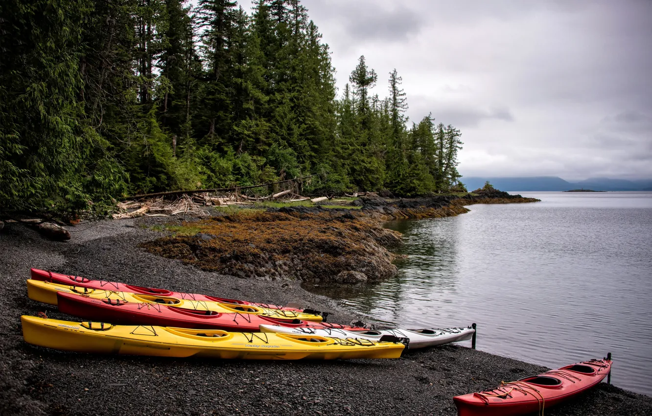 Photo wallpaper trees, coast, boat, Alaska, USA, Alaska, Ketchikan, Tatoosh Island