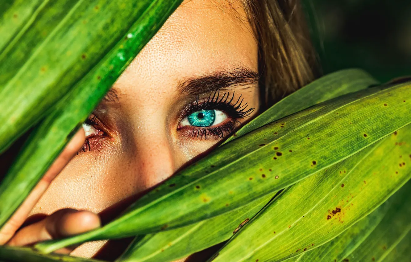 Photo wallpaper green, girl, eyes, leafs, look