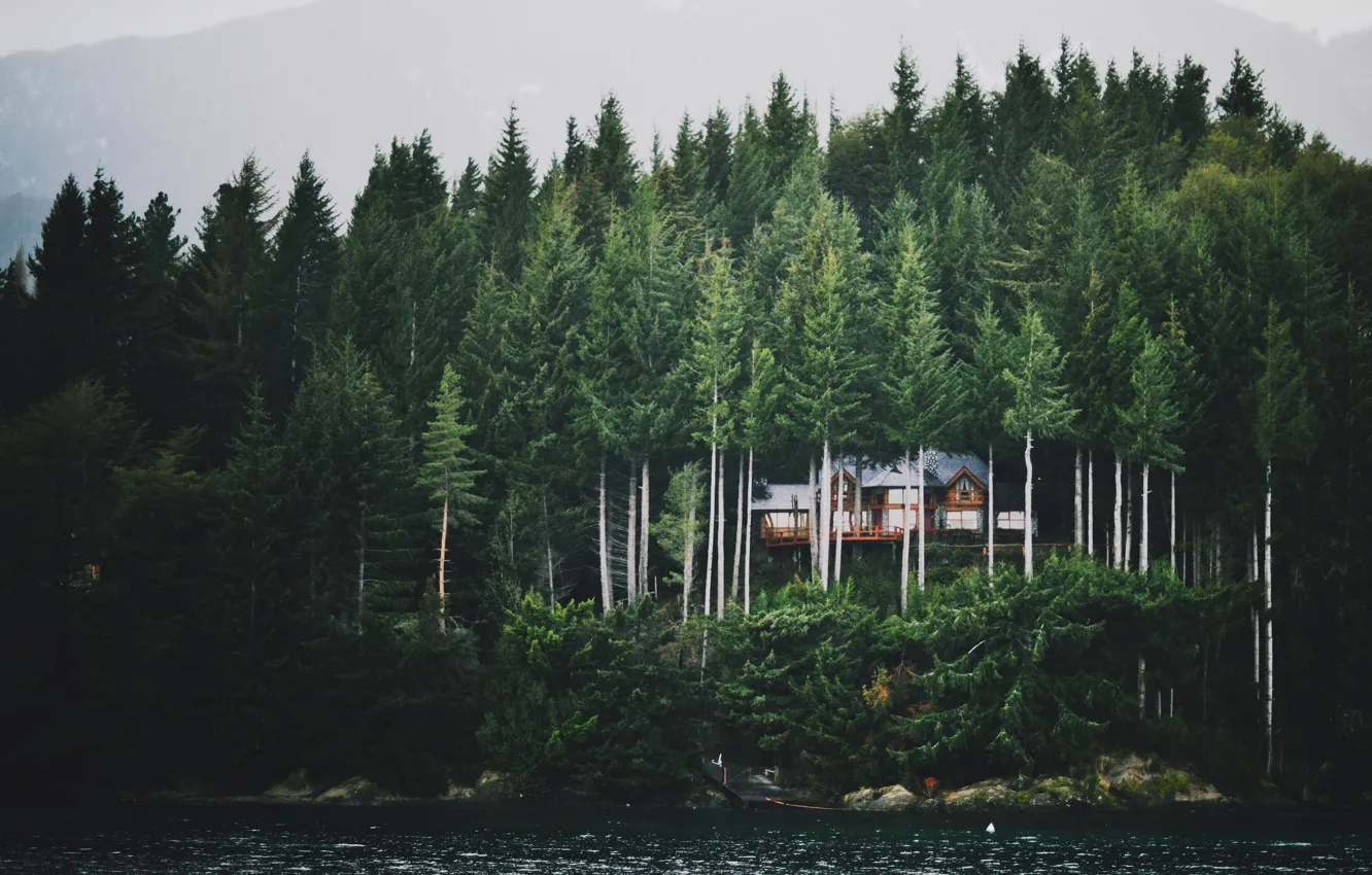 Photo wallpaper forest, mountains, fog, lake, house, ate