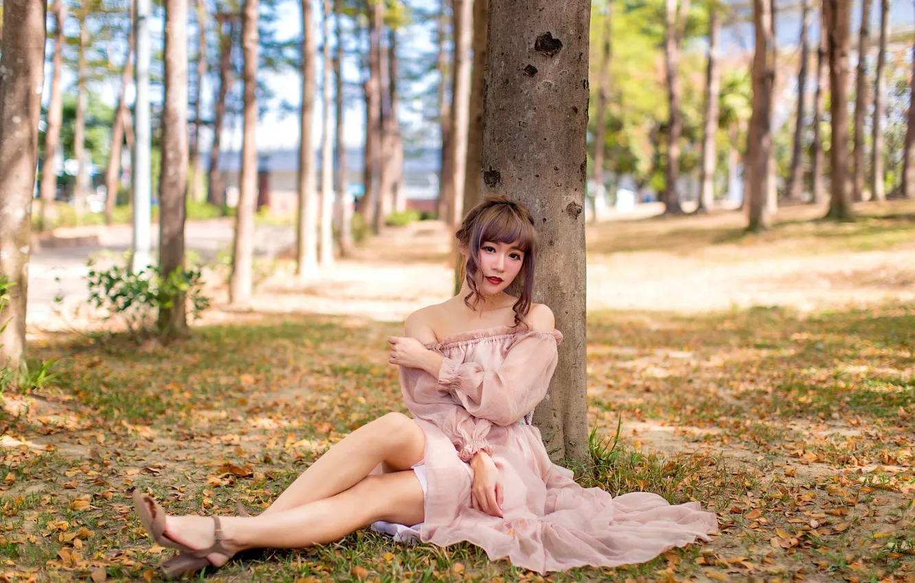 Photo wallpaper girl, trees, Park, Asian