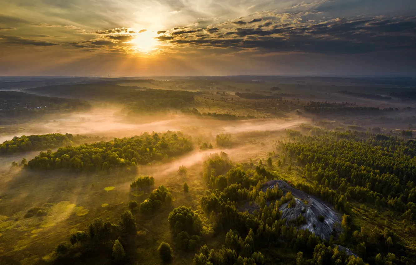 Photo wallpaper field, forest, the sky, the sun, clouds, rays, light, trees