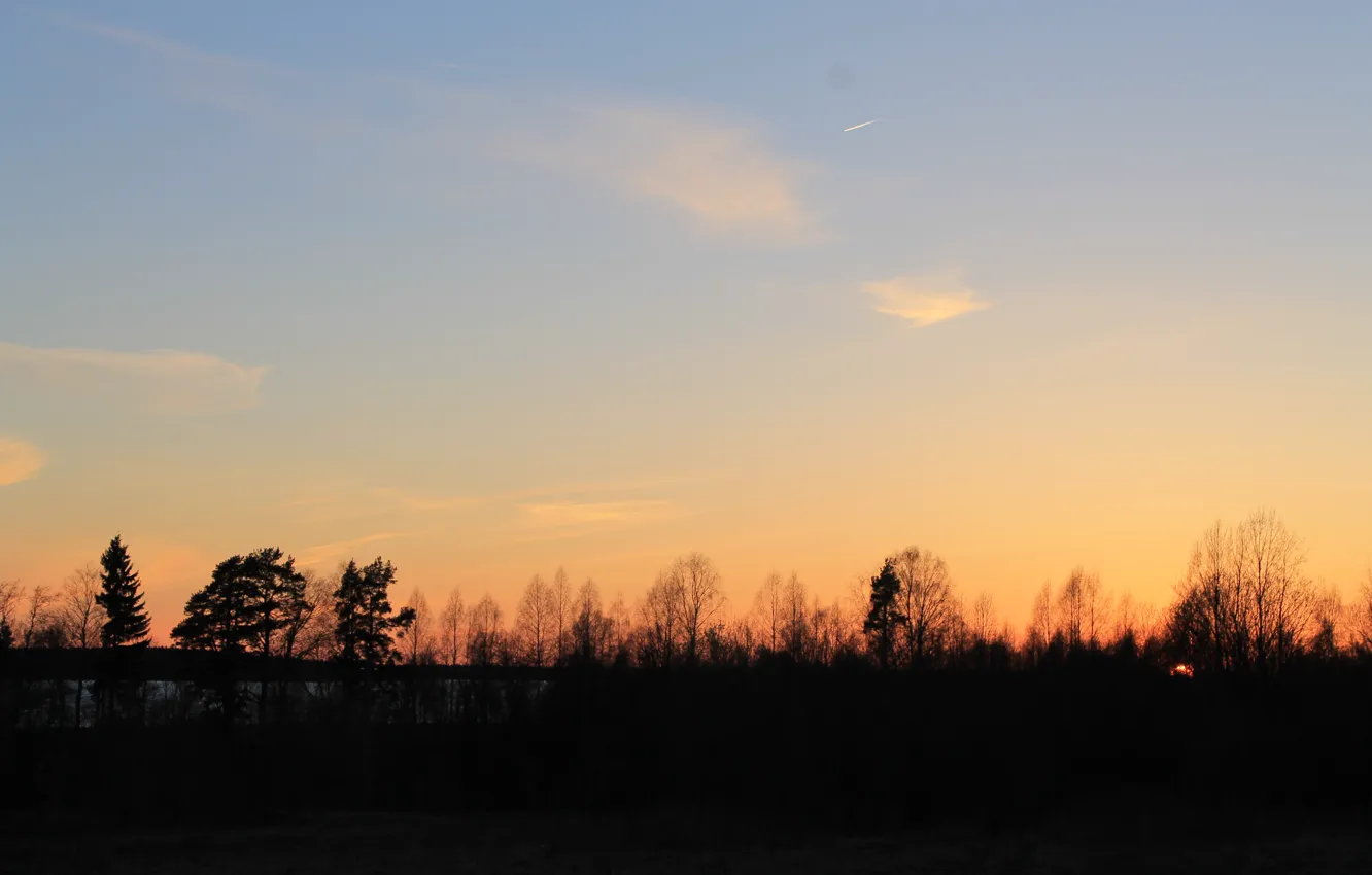 Photo wallpaper field, forest, the sky, the sun, clouds, sunset, eternal