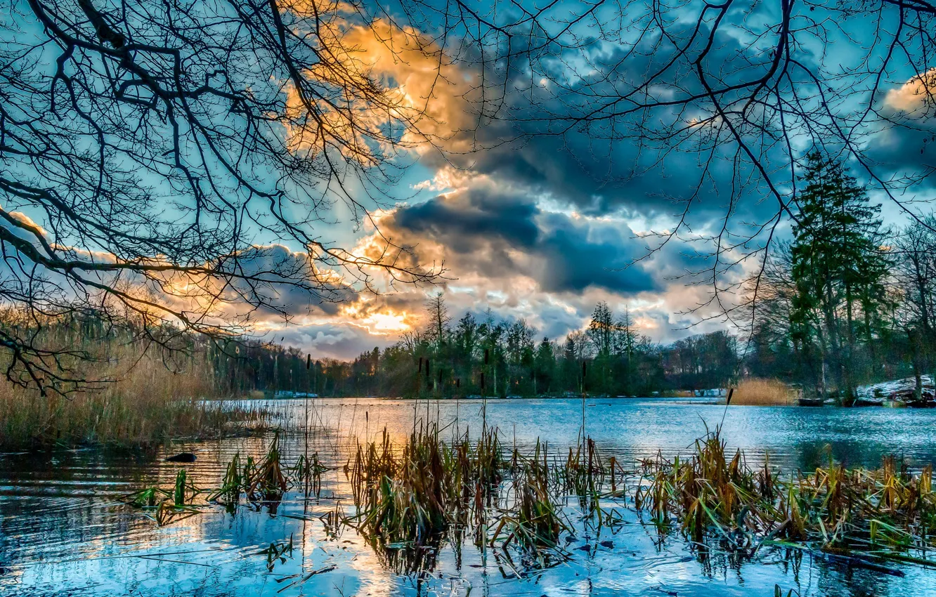 Photo wallpaper the sky, clouds, trees, landscape, sunset, nature, lake, reflection