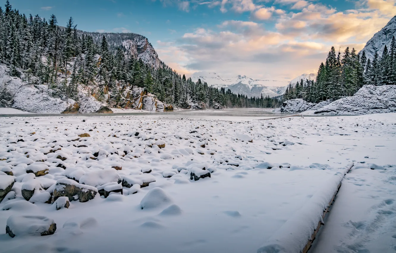 Photo wallpaper winter, forest, snow, trees, mountains, lake, forest, trees