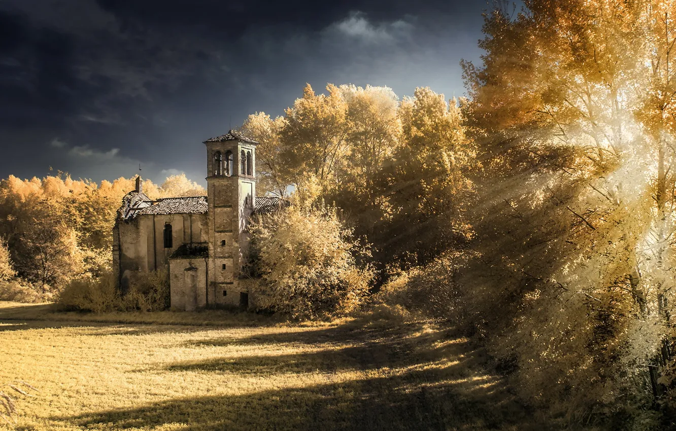Photo wallpaper autumn, light, trees, home