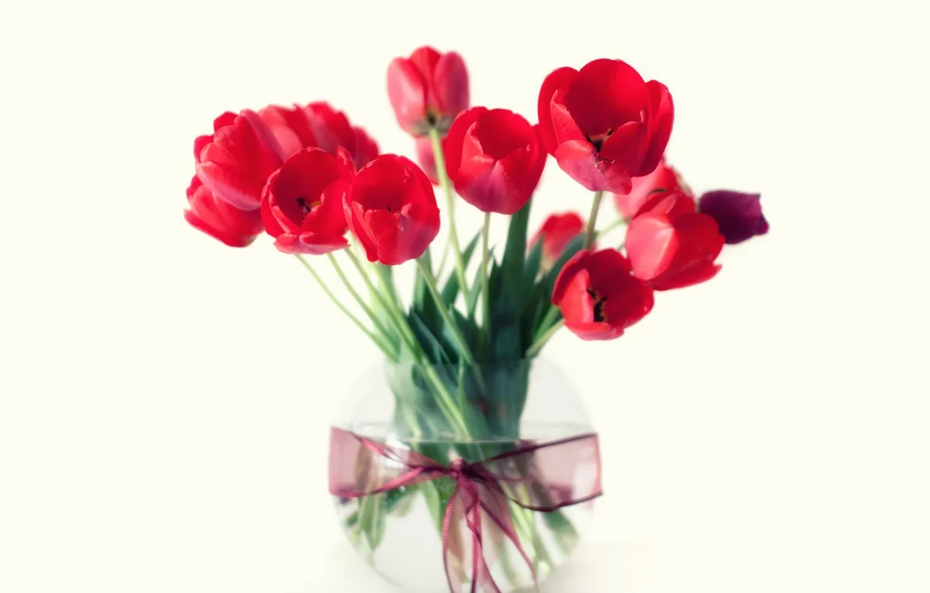 Photo wallpaper flowers, red, bouquet, tulips, vase