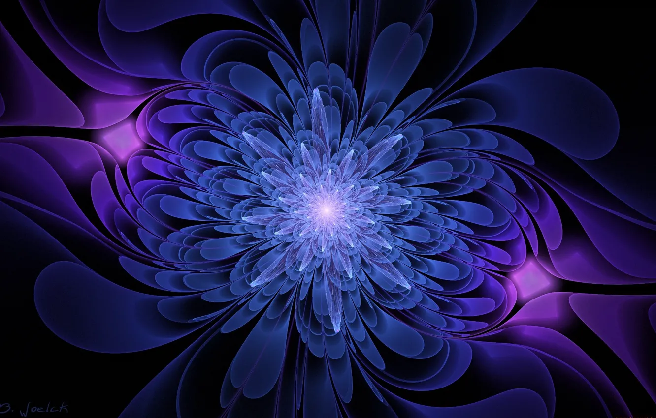 Photo wallpaper flower, graphics, black background, blue and purple color