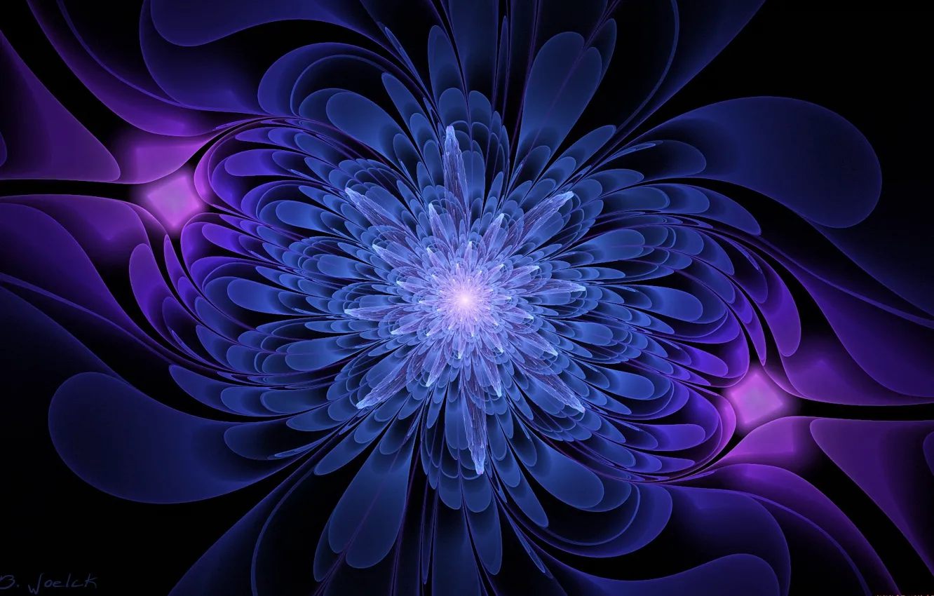 Photo wallpaper flowers, graphics, black background, blue and purple color