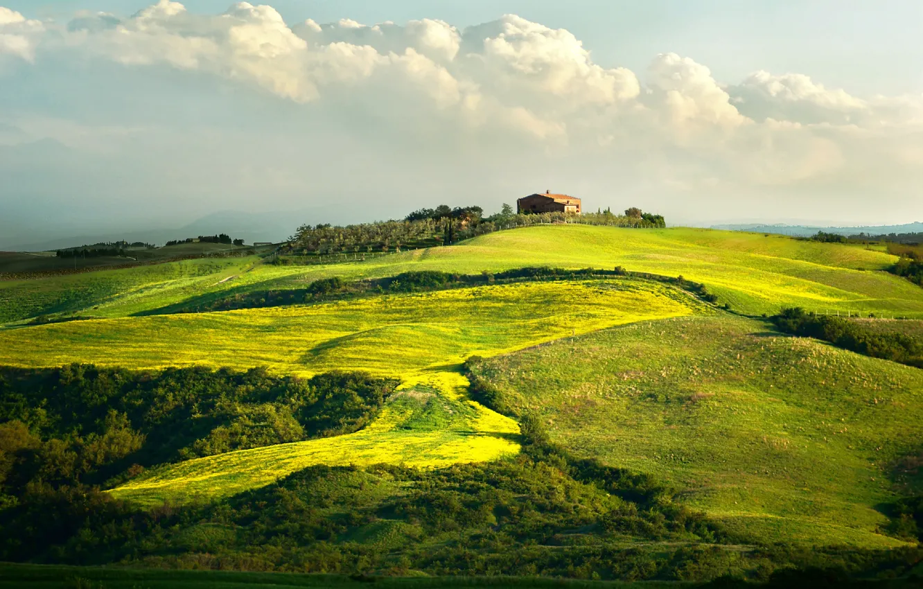 Photo wallpaper home, Italy, vineyard, Tuscany