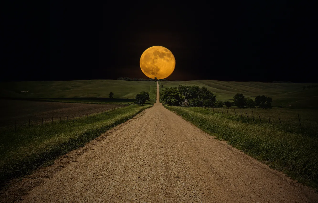 Photo wallpaper road, field, the sky, night, the way, the moon, moon, road