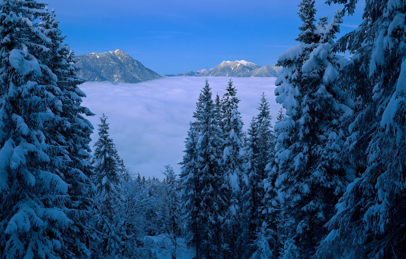 Photo wallpaper winter, forest, clouds, snow, trees, landscape, mountains, nature