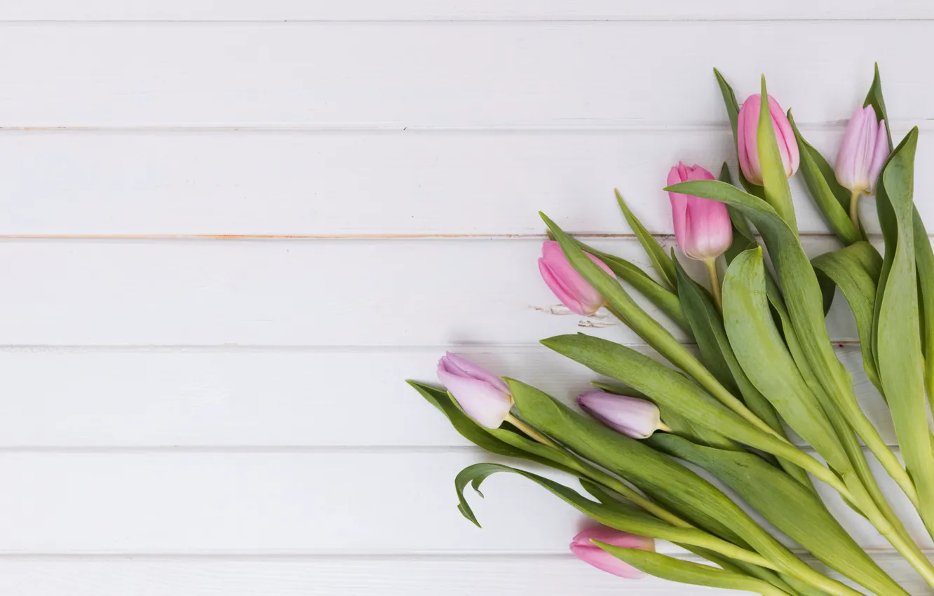 Photo wallpaper flowers, bouquet, tulips, pink, fresh, wood, pink, flowers