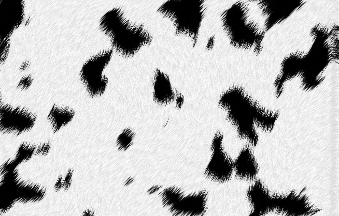 Photo wallpaper black and white, texture, skin, spot