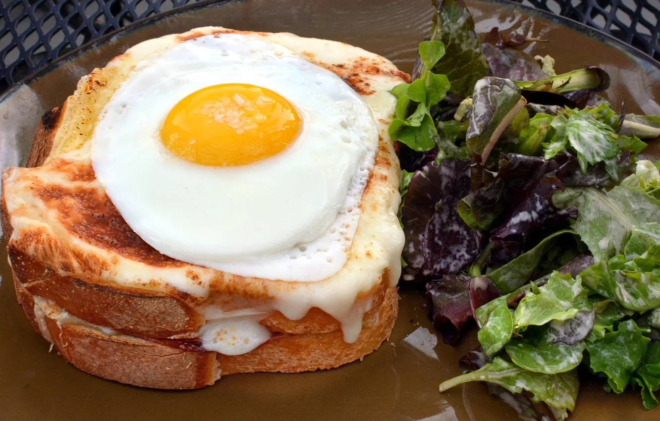 Photo wallpaper greens, eggs, Breakfast, cheese, toast