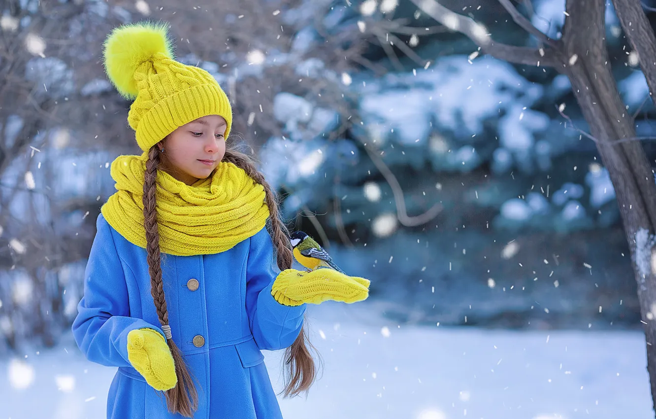 Photo wallpaper winter, look, snow, trees, Park, bird, girl, braid