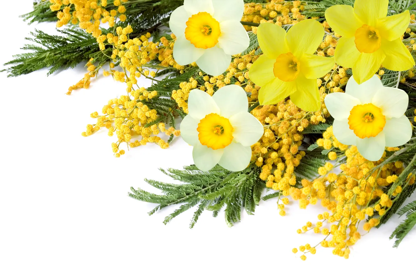 Photo wallpaper bouquet, spring, Narcissus, Mimosa