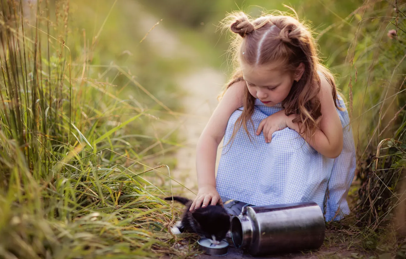 Photo wallpaper field, milk, hairstyle, girl, kitty