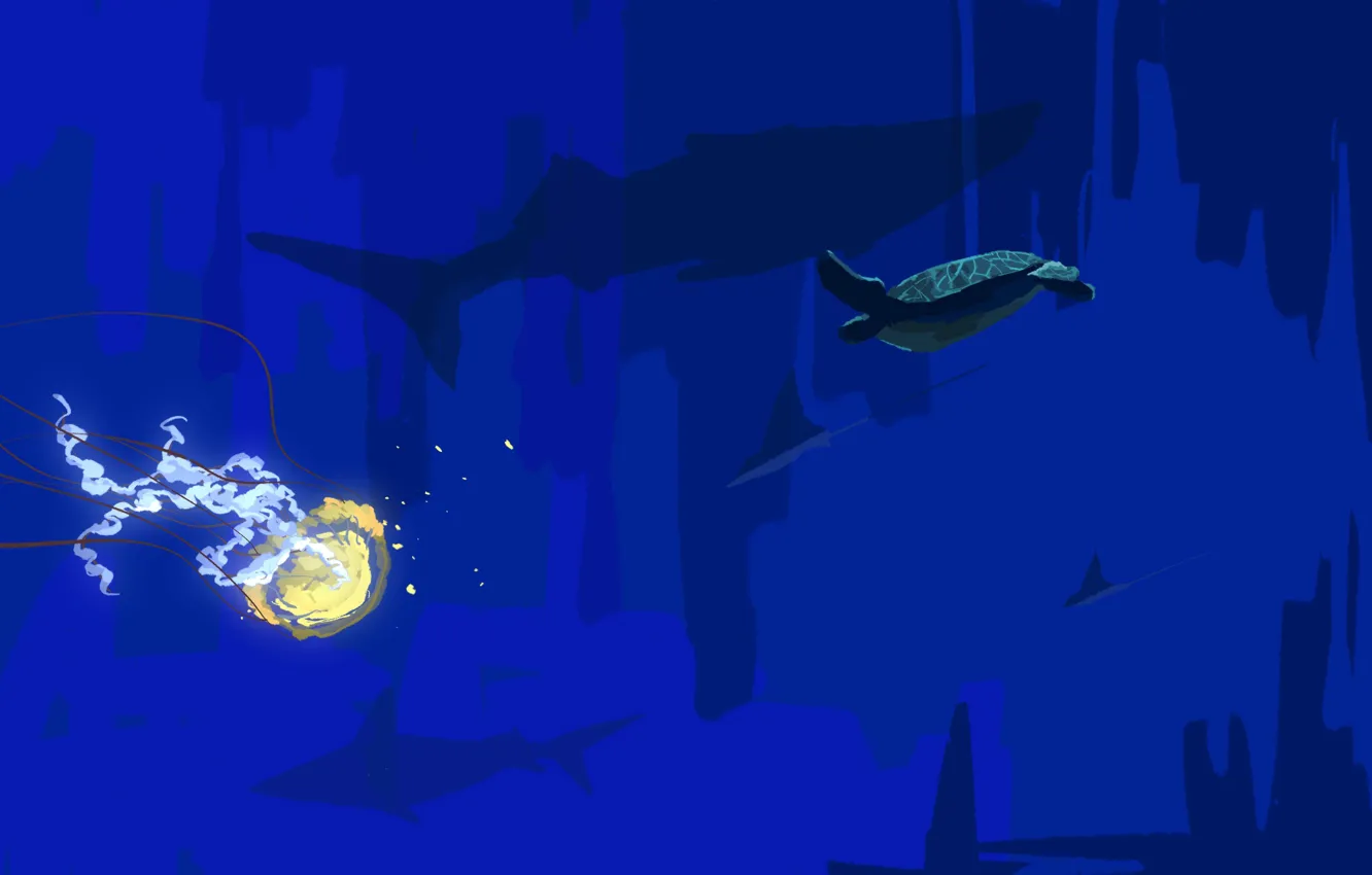 Photo wallpaper shark, jellyfish, SKAT, under water, Fangpeii