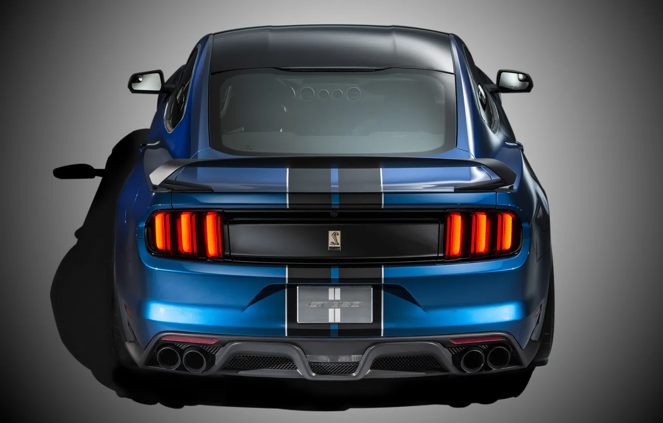 Photo wallpaper Mustang, Ford, Shelby, Muscle, Car, Rear, 2015, GT350R