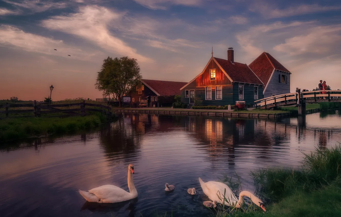 Photo wallpaper the sky, bridge, home, the evening, swans, Holland