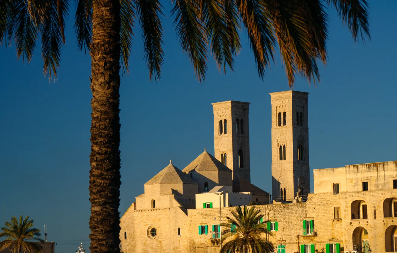 Photo wallpaper palm trees, tower, Italy, Apulia, Molfetta