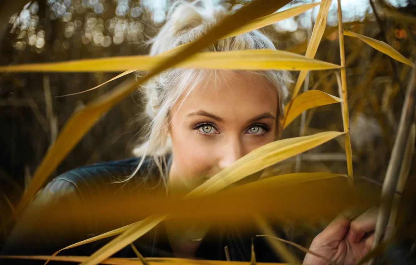 Photo wallpaper grass, look, nature, pose, model, portrait, makeup, hairstyle