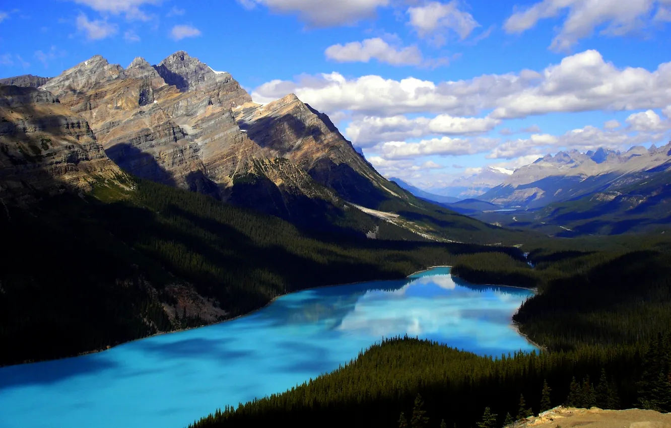 Photo wallpaper forest, mountains, lake, Canada, Albert