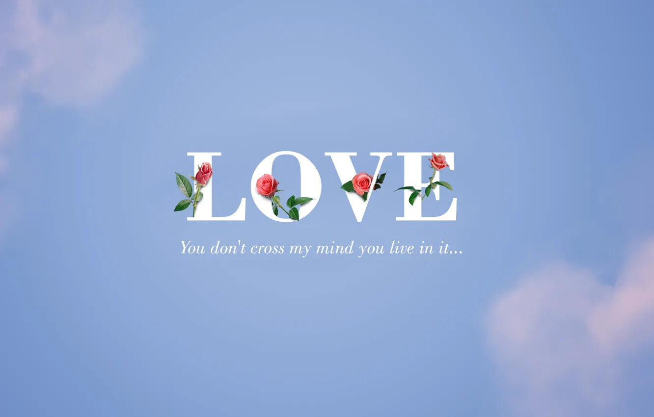 Photo wallpaper the sky, love, roses, love, sky, roses