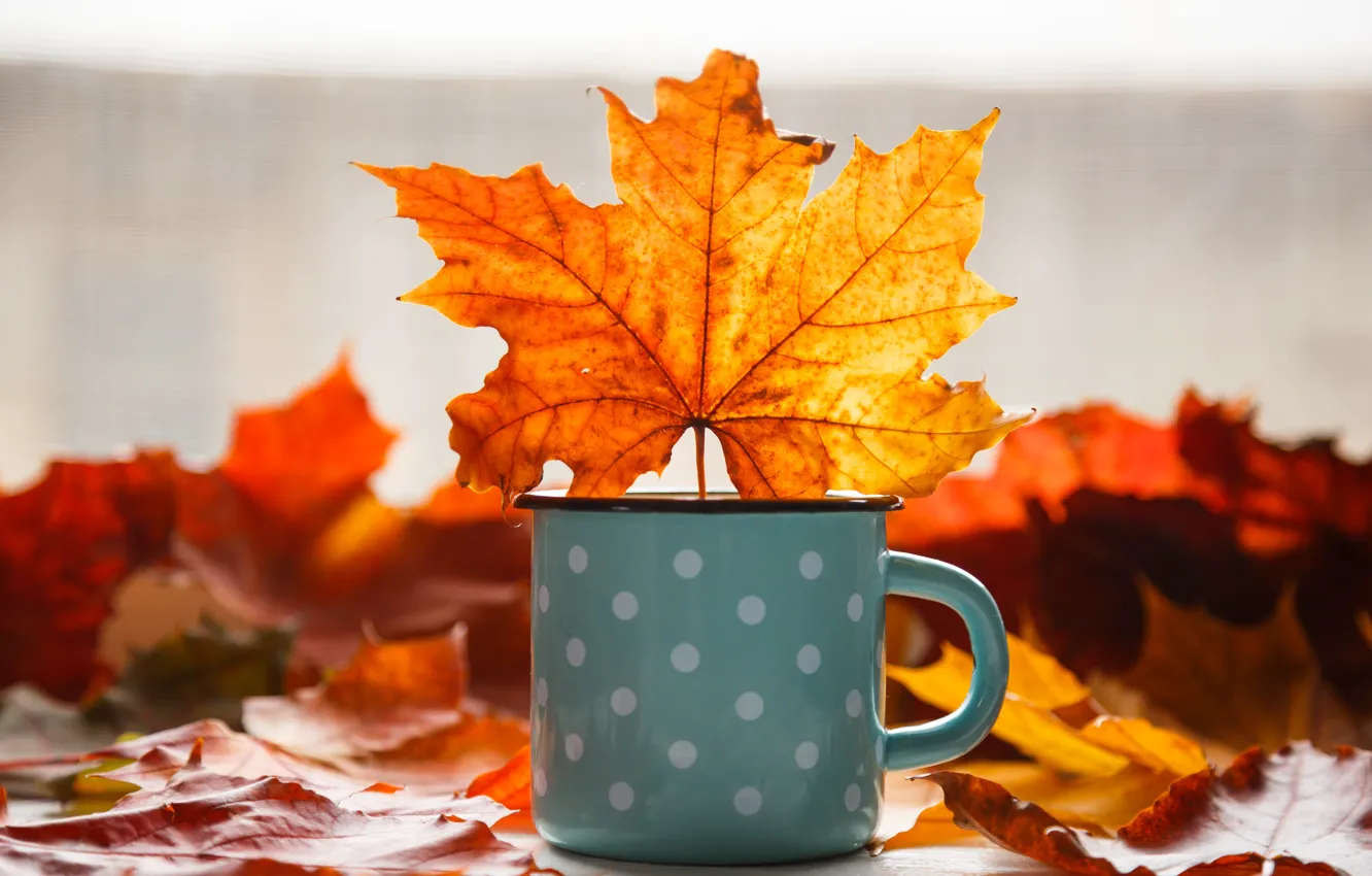 Photo wallpaper autumn, leaves, background, colorful, mug, maple, yellow, wood