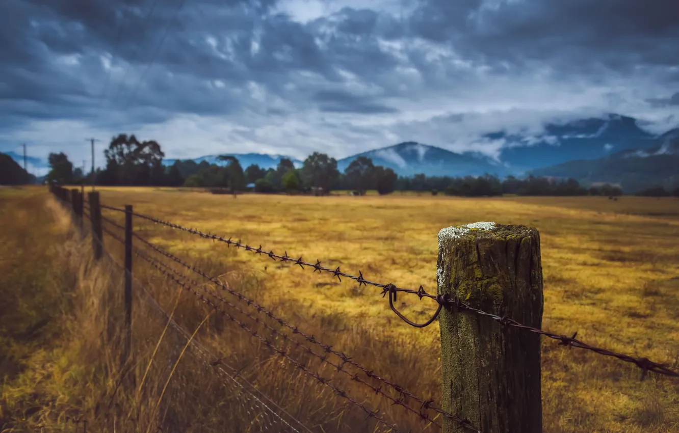 Photo wallpaper field, posts, barbed wire