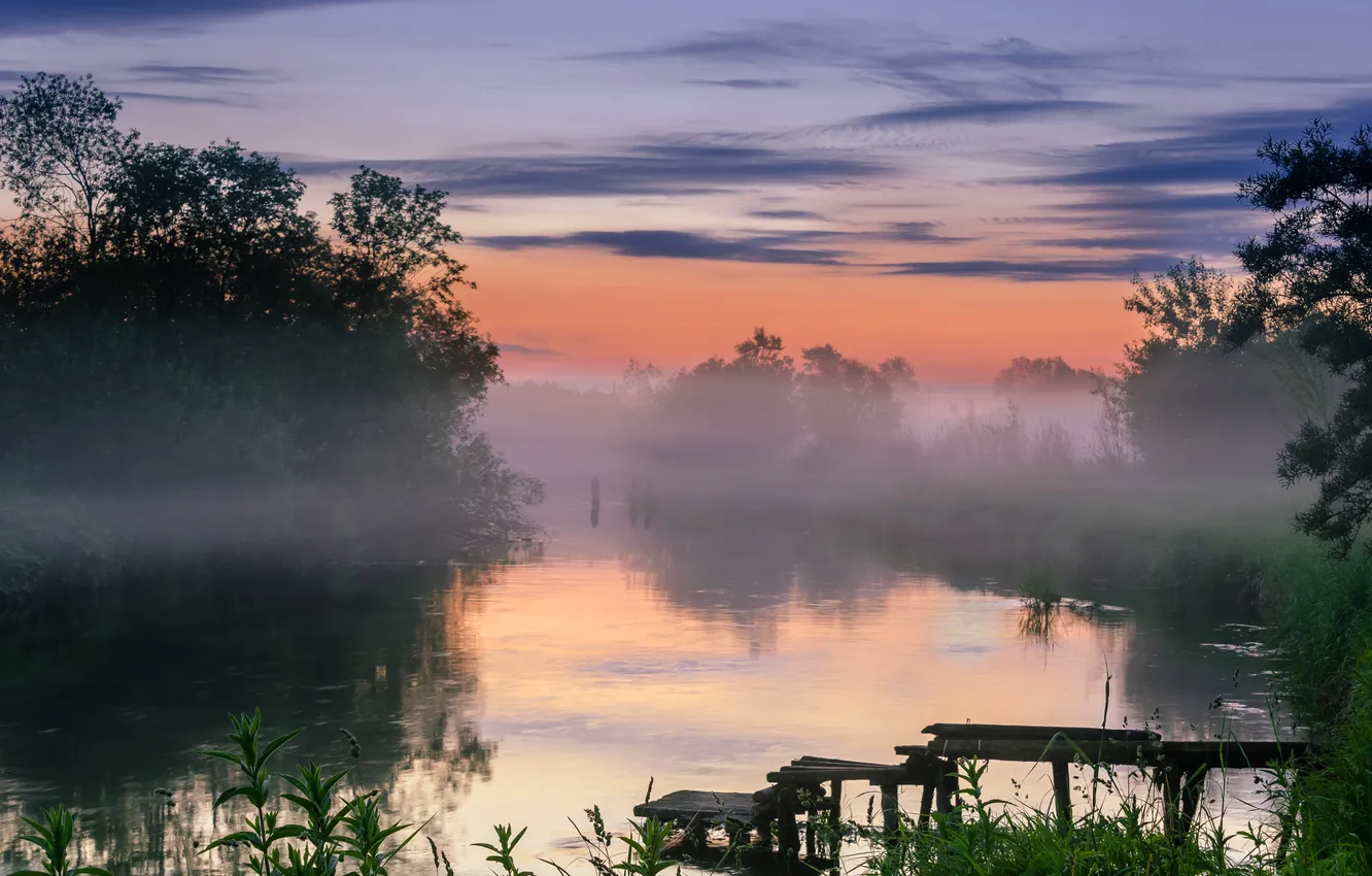 Photo wallpaper forest, the sky, grass, clouds, trees, landscape, sunset, nature