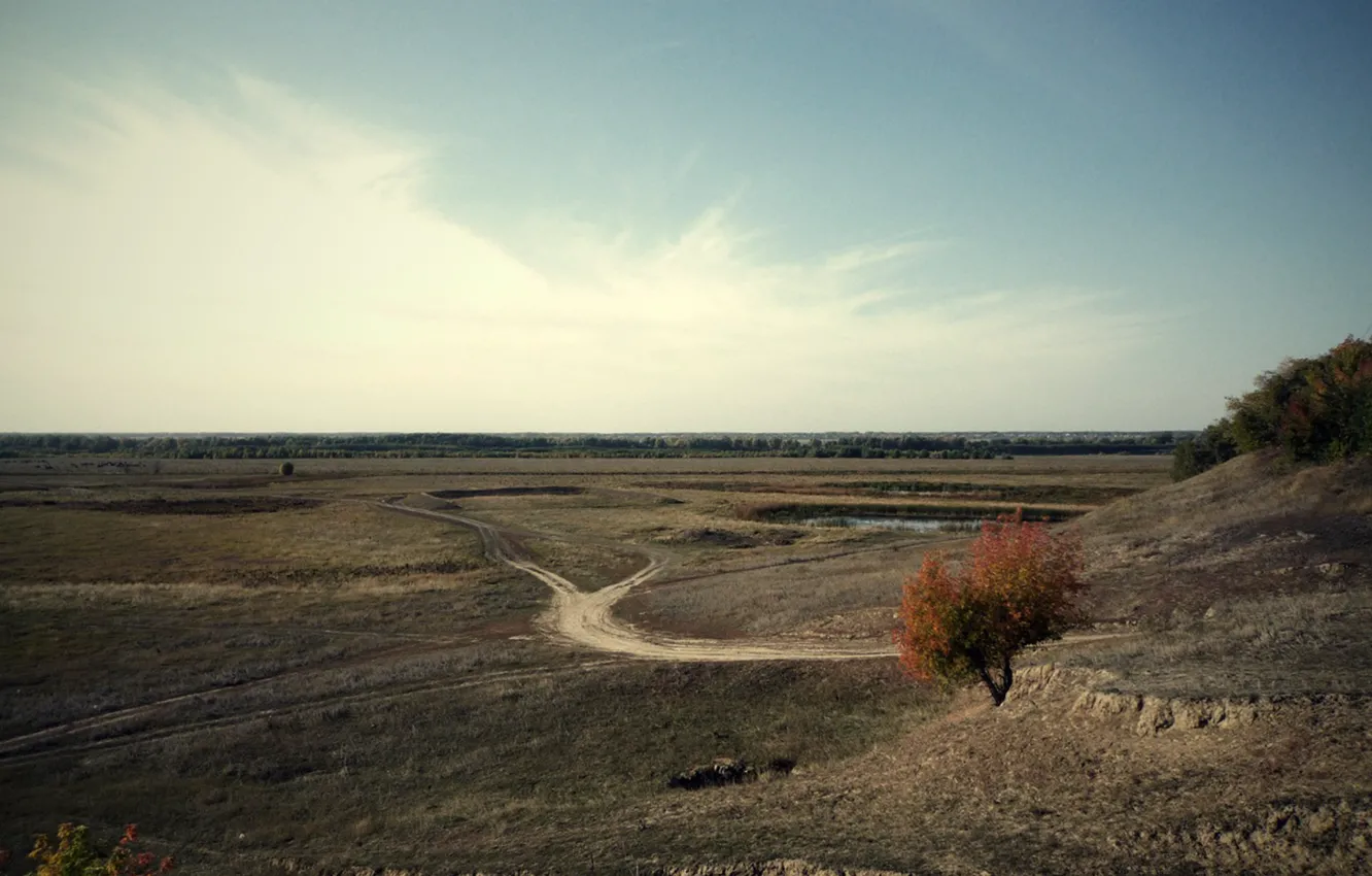 Photo wallpaper field, autumn, landscape, nature, plant, day