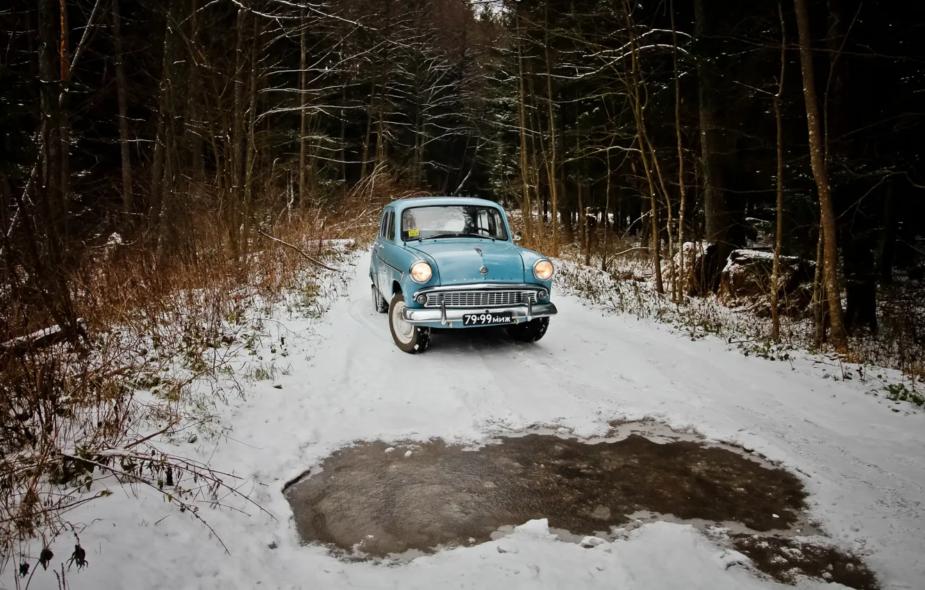 Photo wallpaper forest, retro, USSR, trees, moskvich, Moskvich 407