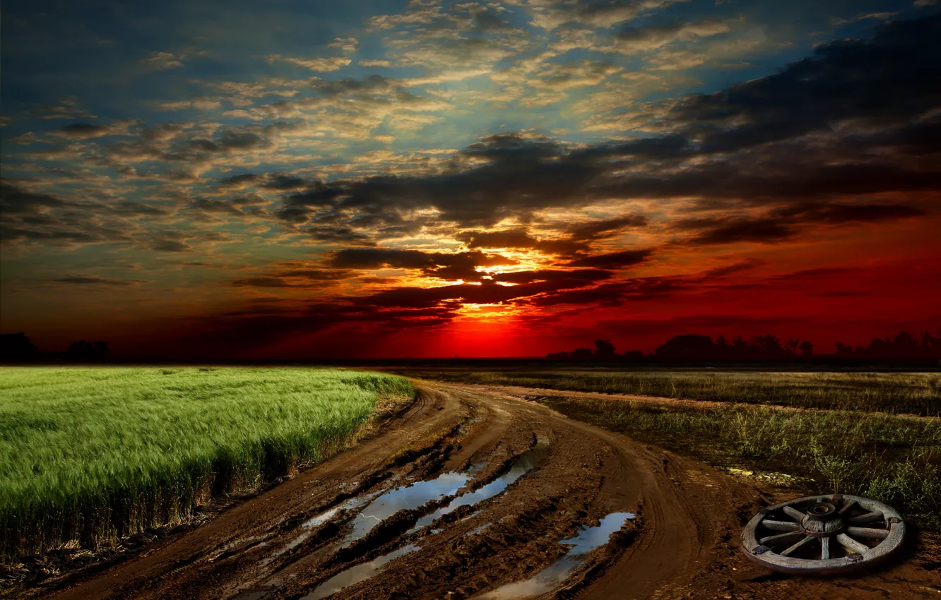 Photo wallpaper road, field, the sky, grass, sunset, dirt, sky, landscape
