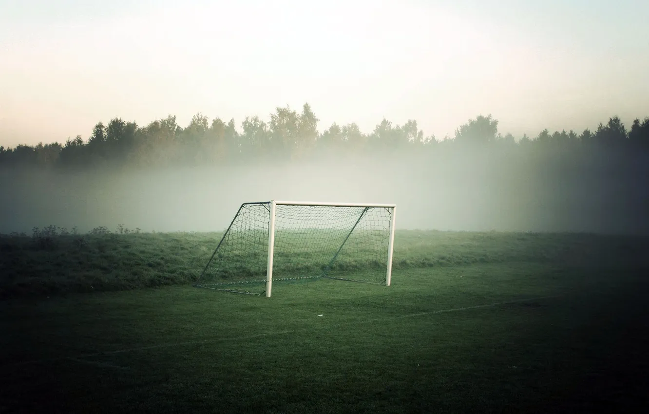 Photo wallpaper FOREST, GRASS, FIELD, GREEN, GATE, FOG, FOOTBALL