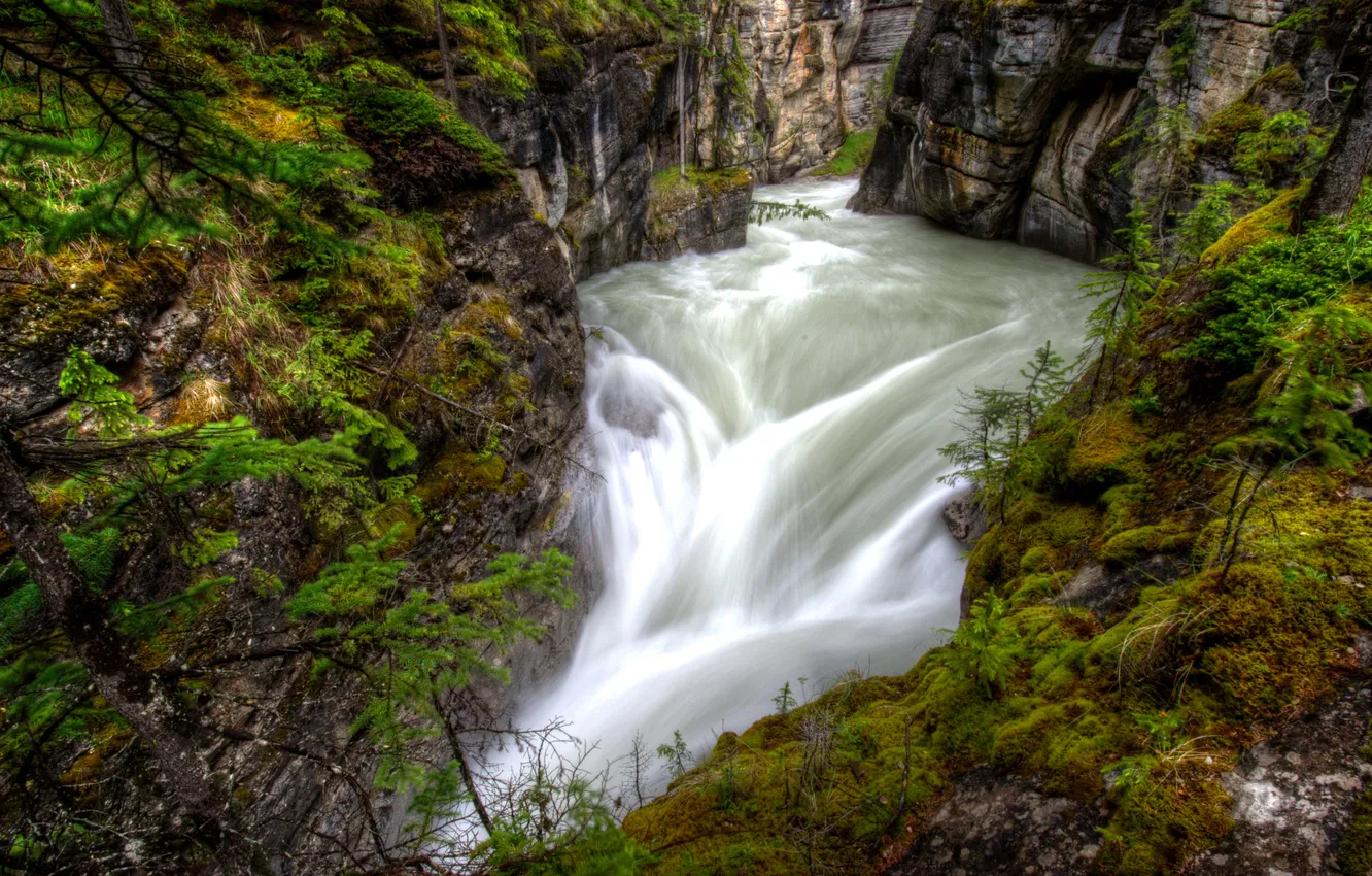 Photo wallpaper river, for, Canada, canyon, Albert, Jasper National Park, Maligne Canyon