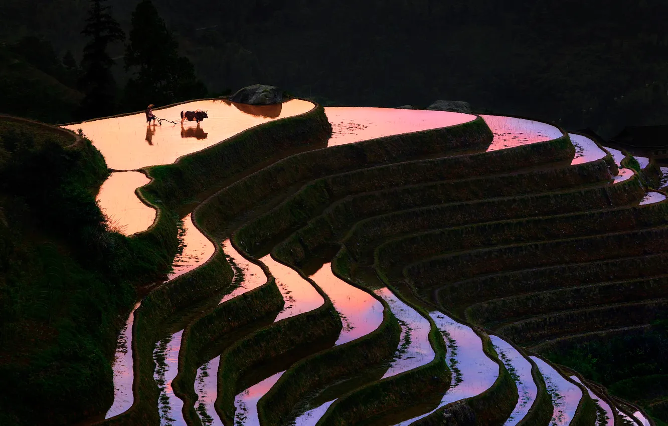 Photo wallpaper hills, field, the evening, China