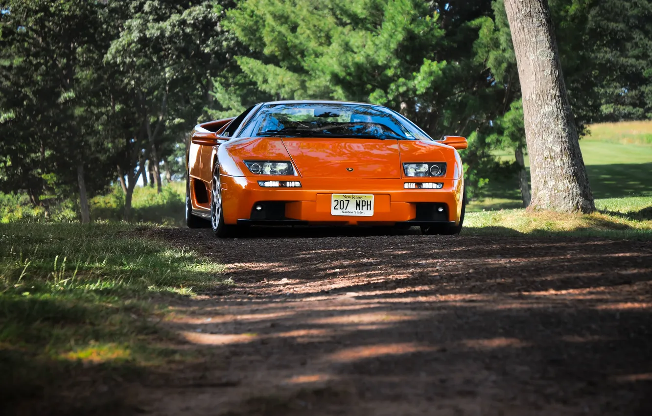 Photo wallpaper grass, trees, orange, Lamborghini, diablo, the front, orange, primer