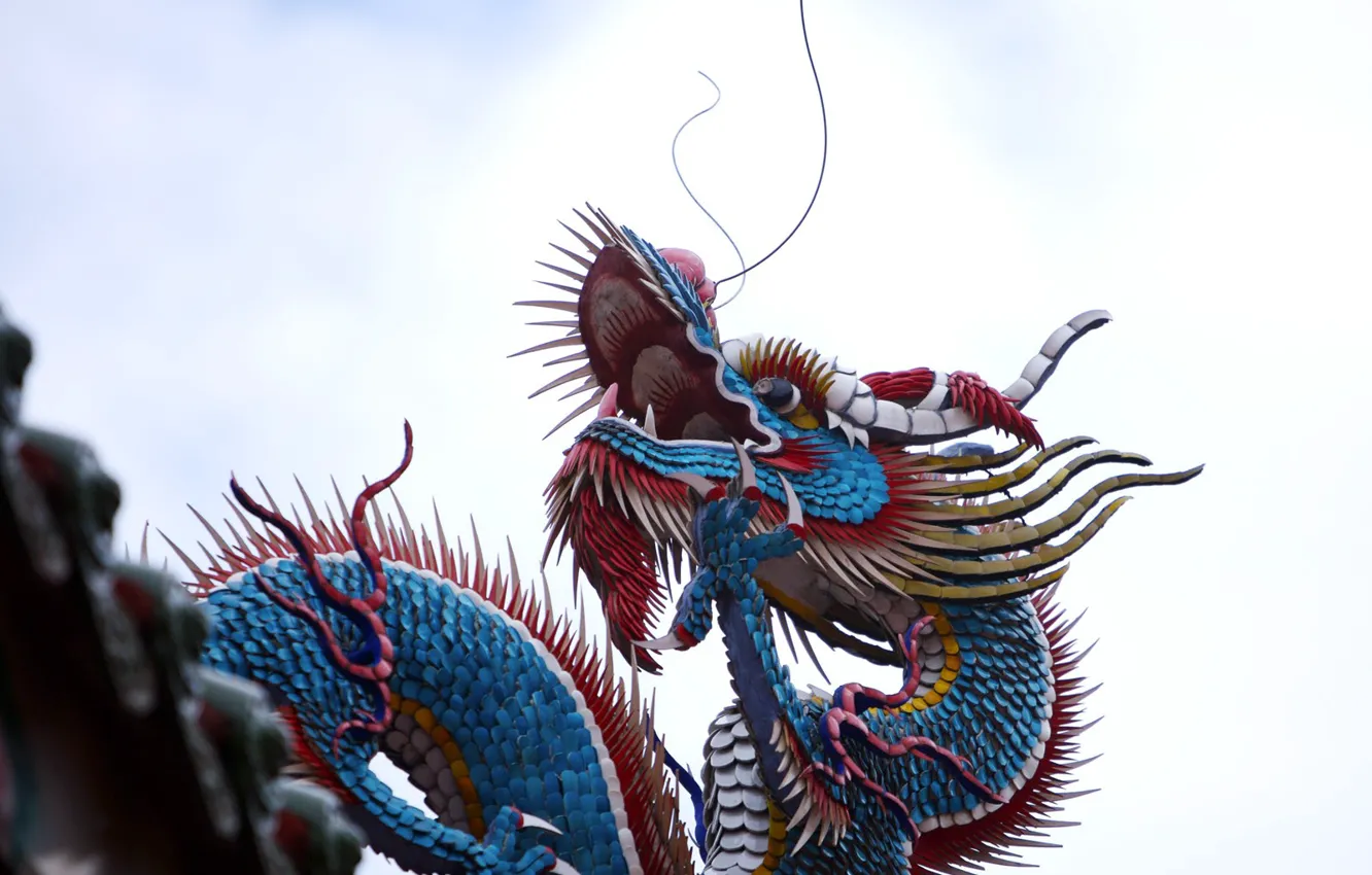 Photo wallpaper dragon, colored, China