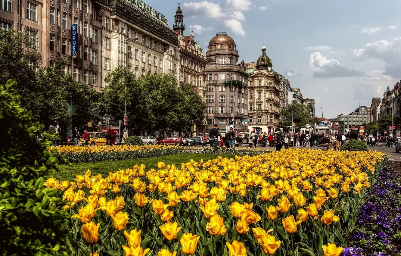 Photo wallpaper street, building, spring, The city, Prague, Czech Republic, tulips, architecture