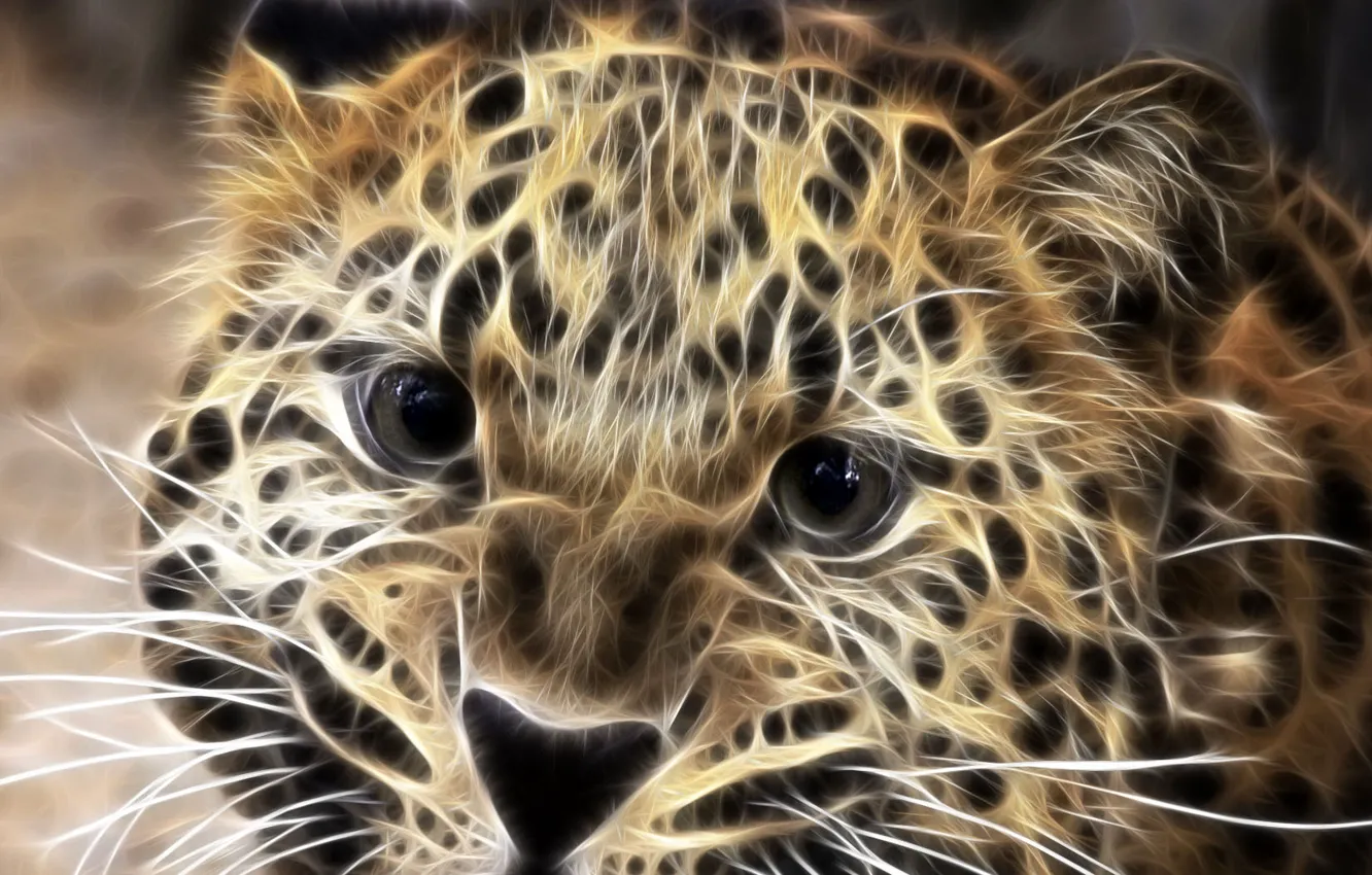 Photo wallpaper treatment, leopard, beast