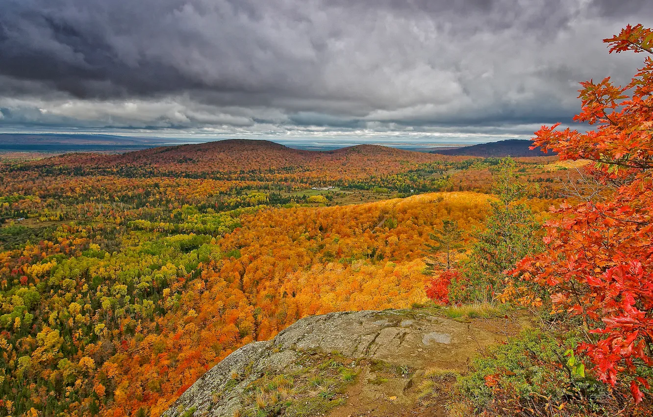 Photo wallpaper autumn, forest, the sky, clouds, trees, mountains, rocks