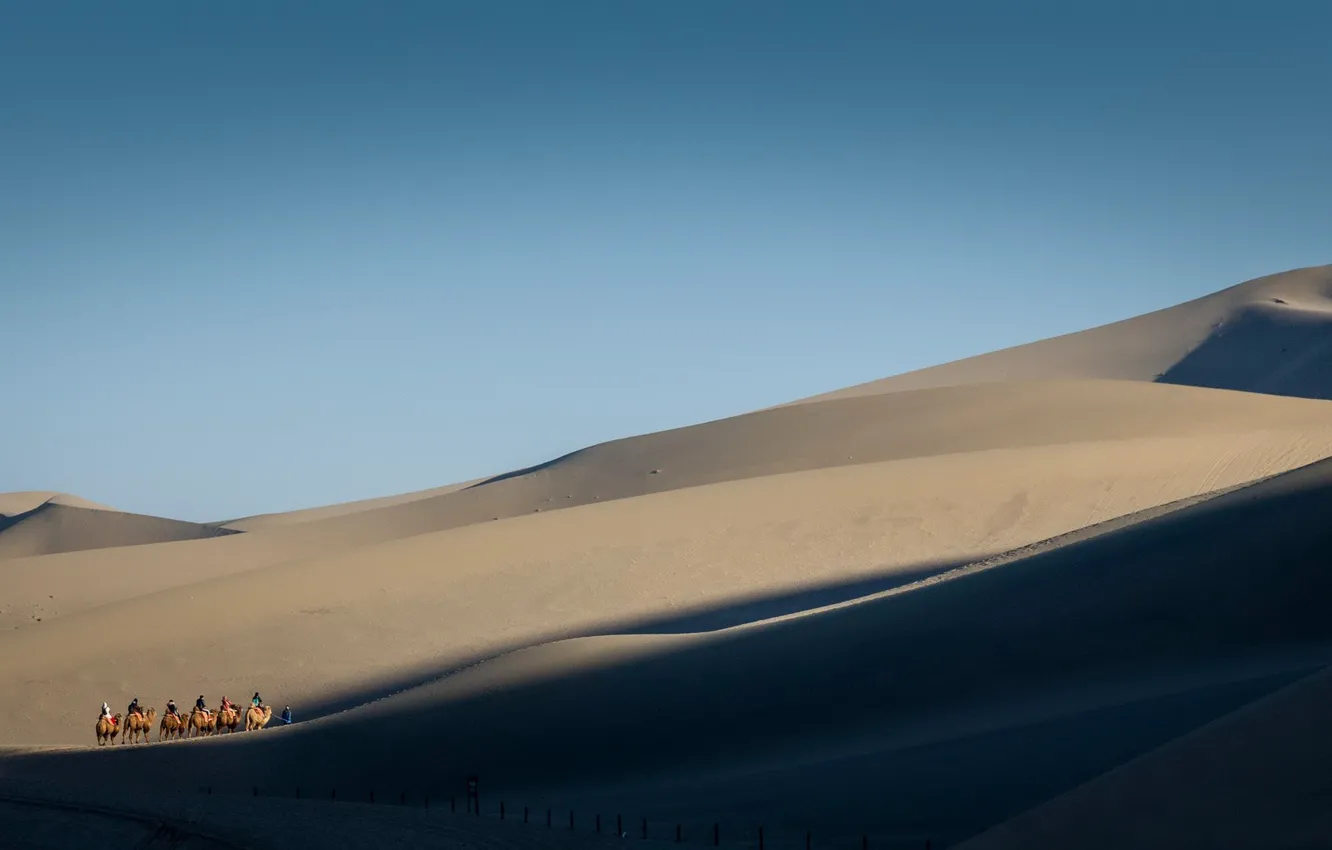 Photo wallpaper Gobi Desert, Crescent Lake, Camel caravan, Mingsha Shan, Mondsichelsee, Yueya Quan