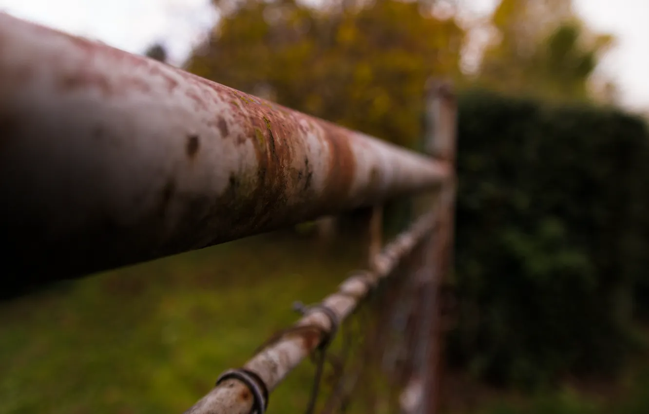 Photo wallpaper metal, autumn, fence, garden, Rusty
