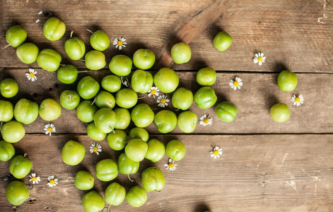 Photo wallpaper green, chamomile, fruit, plum, drain
